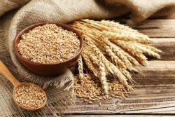 Отруби пшеничные: польза и вред